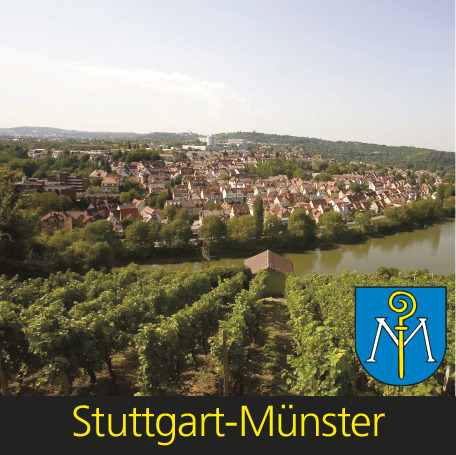 Bürgerversammlung Münster