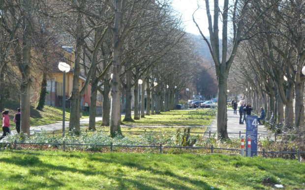 Die Elisabethenanlage soll aufgewertet und Nutzungskonflikte gelöst werden. Foto: Stadt Stuttgart