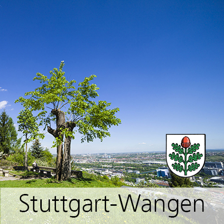 Blick von der Wangener Höhe auf den Stadtbezirk. Foto: die argle lola, Kai Loges und Andreas Langen