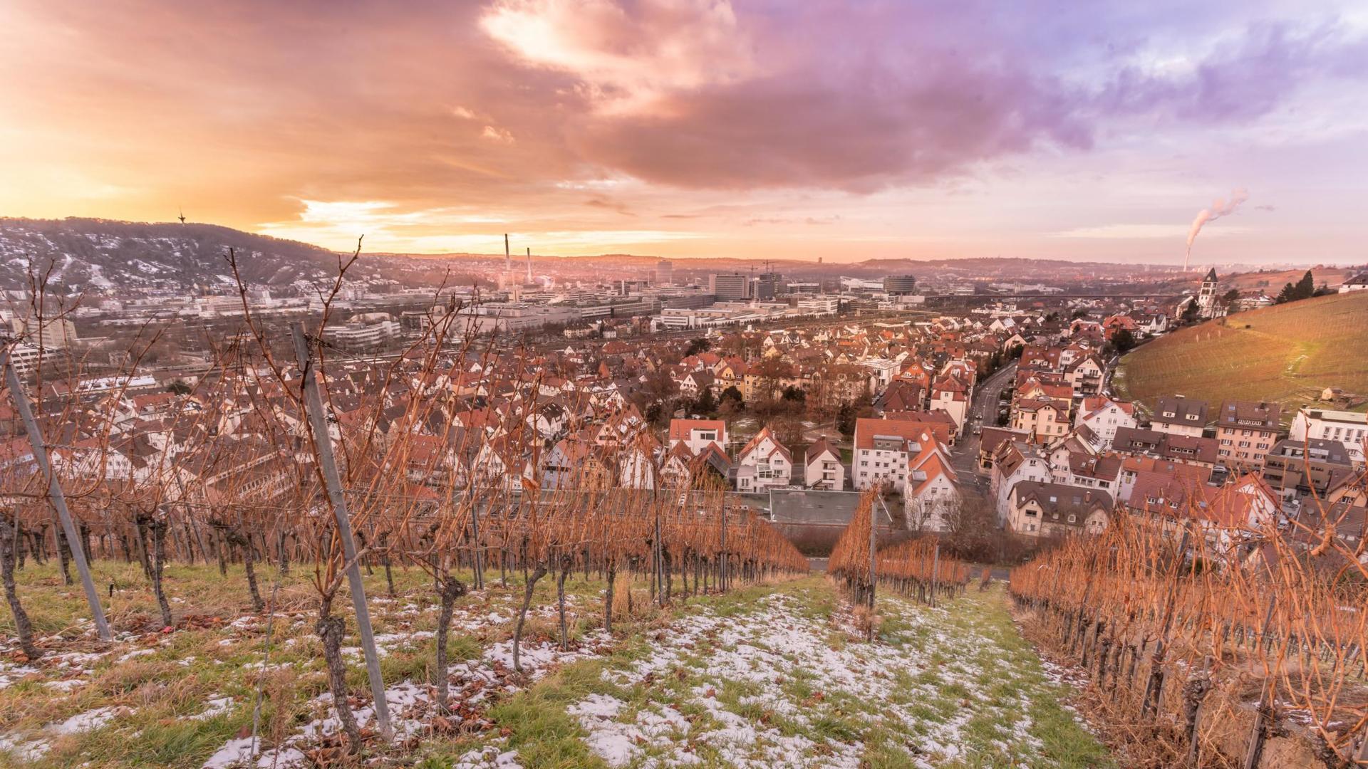 Siegerfoto des Fotowettbewerbs. Foto: