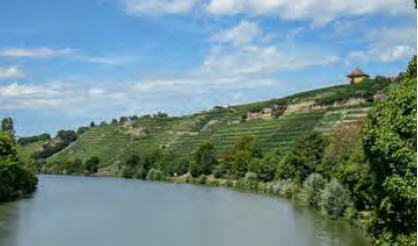 Blick vom Hechtkopf zum Zuckerberg. Foto: Stadt Stuttgart