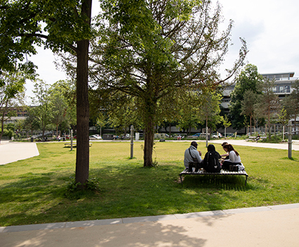 Neue Parkanlage Diakonissenplatz