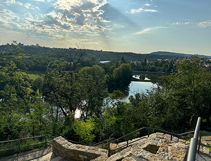 Blick von der Grünanlage auf den Neckar